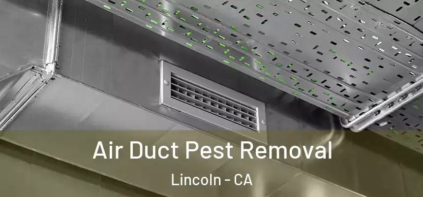 Air Duct Pest Removal Lincoln - CA