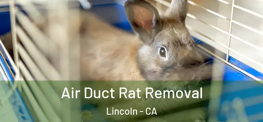  Air Duct Rat Removal Lincoln - CA