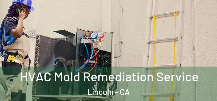 HVAC Mold Remediation Service Lincoln - CA
