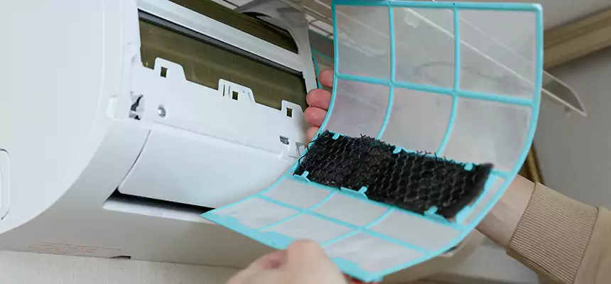 Gentle Ductwork Odor-Control Pet Dander Duct Cleaning in Lincoln, CA