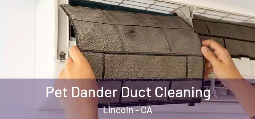 Pet Dander Duct Cleaning Lincoln - CA