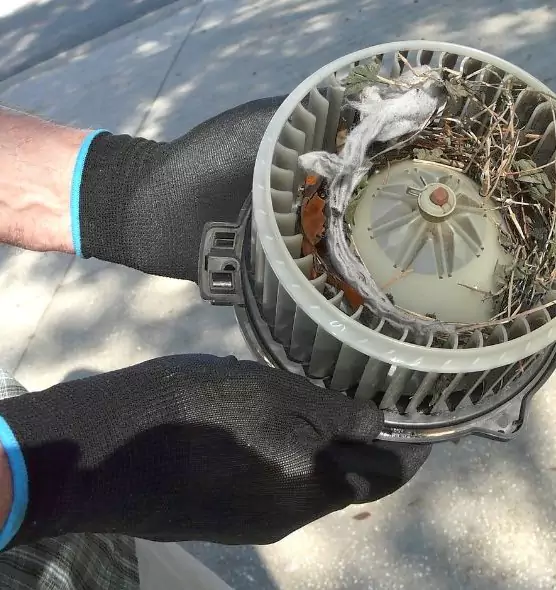 About Air Duct Rat Removal in Lincoln, CA