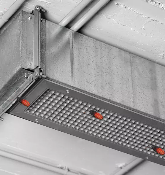 Affordable Insect Removal from Air Ducts in Lincoln, CA