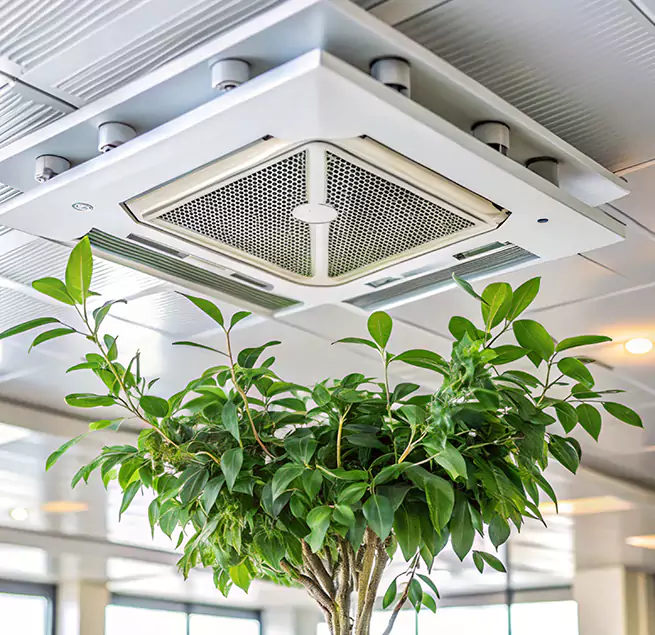 Why Homeowners & Businesses Trust Us in Lincoln, CA