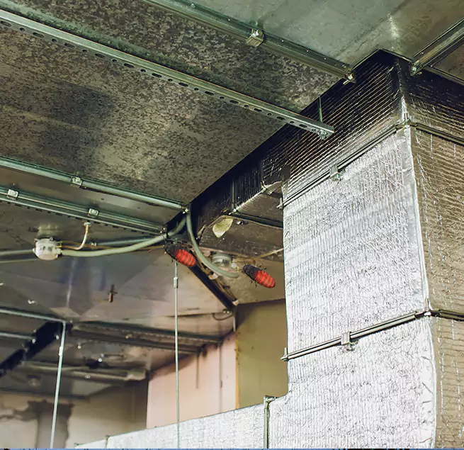 Why Homeowners & Businesses Trust Us Lincoln, CA?