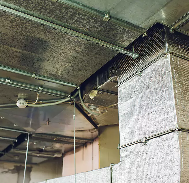 Why Homeowners & Businesses Trust Us in Lincoln, CA?